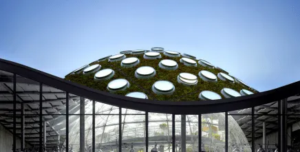 California Academy of Sciences