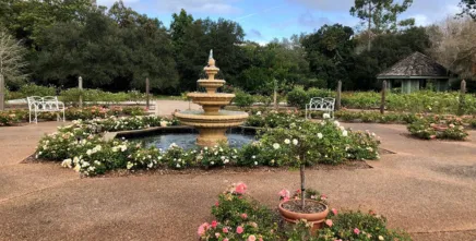 Harry P. Leu Gardens