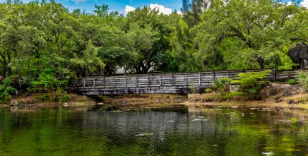 Lettuce Lake Park