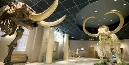 Arizona Museum of Natural History