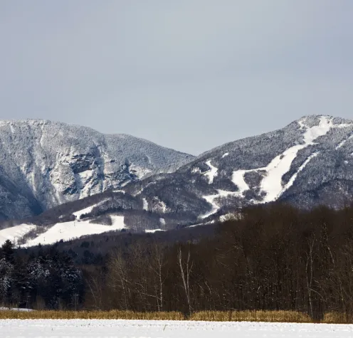 stowe, vt
