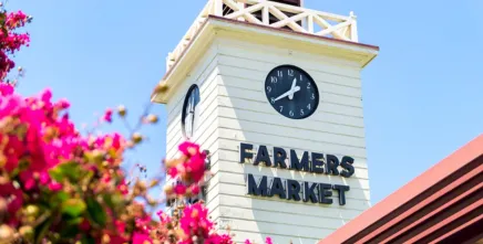 The Farmers Market